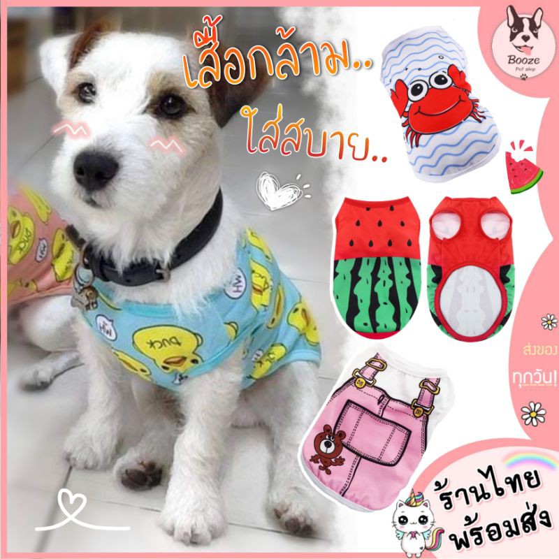 ภาพหน้าปกสินค้าร้านไทย ️ เสื้อแมว เสื้อผ้าสัตว์เลี้ยง ชุดสุนัขน่ารัก ผ้าบางใส่สบาย เหมาะกับหน้าร้อน
