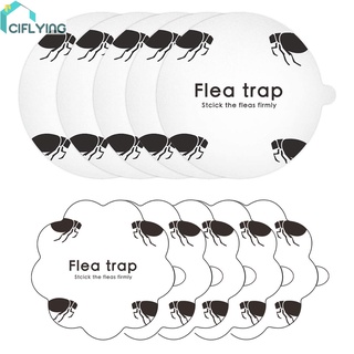 Cifly สติกเกอร์ดักหมัด - กับดักแมลง ปลอดสารพิษ สําหรับบ้าน แพ็คละ 5 ชิ้น