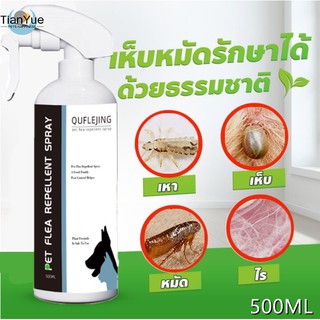 ภาพหน้าปกสินค้า【พร้อมส่ง】ดับกลิ่น 500ml สเปรย์กำจัดเห็บ กำจัดเห็บและหมัด สเปรย์กำจัดเห็บหมัด เหาแมว ป้องกัน เห็บ เหา ไร หนอนแมลงวัน ที่เกี่ยวข้อง