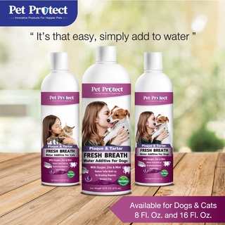 ภาพขนาดย่อของภาพหน้าปกสินค้าPet Protect Dog & Cat Fresh Breath (สีม่วง) น้ำยาดับกลิ่นปากสุนัข และ แมว ใช้ผสมน้ำดื่ม ลดคราบหินปูน ลดกลิ่นปาก จากร้าน jumjim.petshop บน Shopee