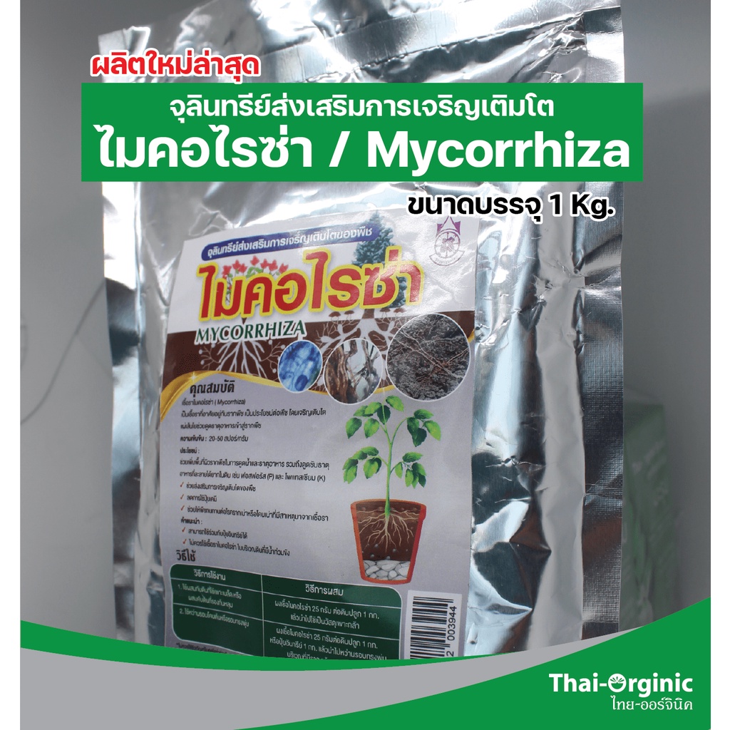 ภาพหน้าปกสินค้าไมคอไรซ่า 1 กิโลกรัม ไมคอร์ไรซ่า Mycorrhiza มั่นใจ100% สินค้าล็อตใหม่ล่าสุด ซื้อกับนักวิจัยและผู้ผลิตโดยตรง จากร้าน thaiorginic บน Shopee