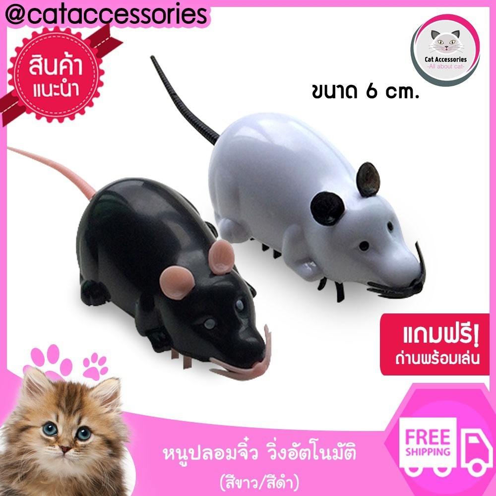 Rat Robot หนูสีขาวแบบใส่ถานวิ่งอัติโนมัติ ของเล่นแมว จำนวน1ตัว ไซส์11.5 ...