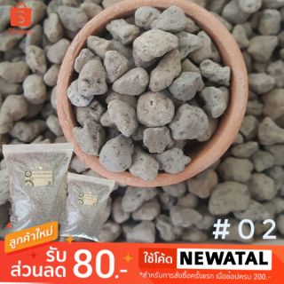 หินภูเขาไฟ เบอร์02 หินปลูกกระบองเพชร