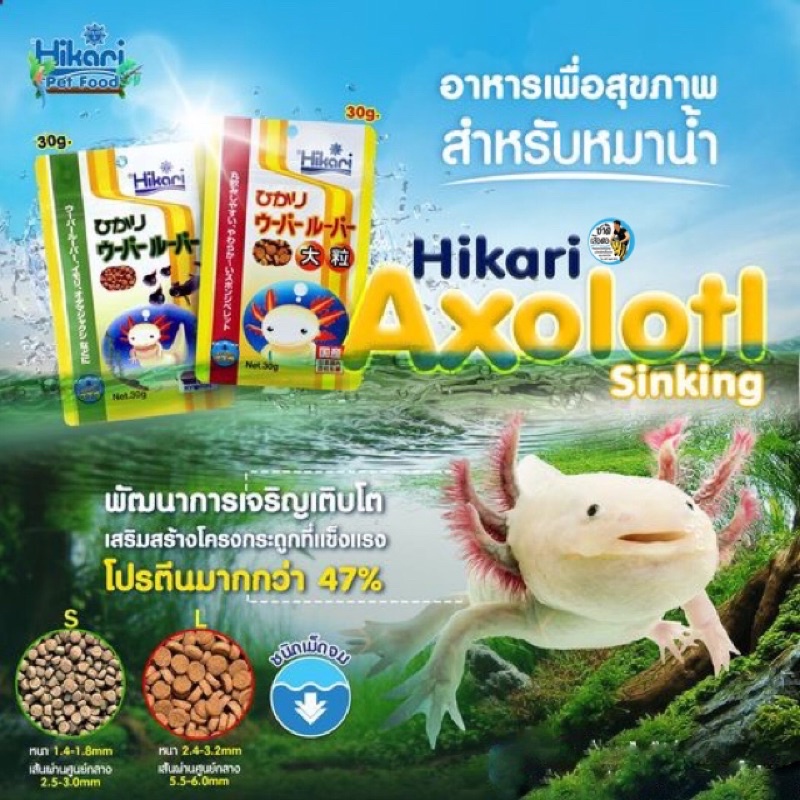 Hikari Axolotl อาหารหมาน้ำโดยเฉพาะ ชนิดเม็ดจม อาหารสัตว์แปลก นำเข้าจากประเทศญี่ปุ่น  30G. | Shopee Thailand
