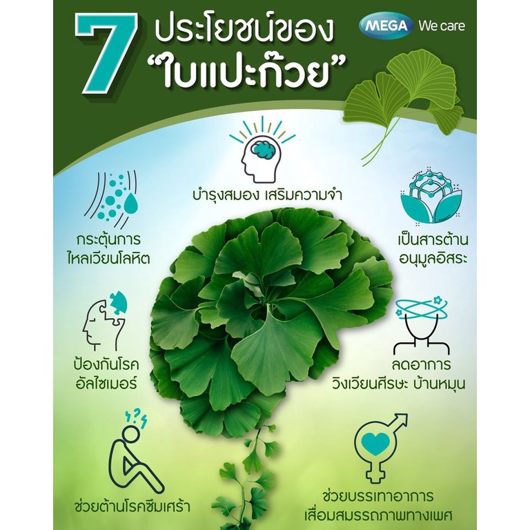 mega-we-care-ginkgo-biloba-60-แคปซูล-จิงโก-บิโลบา-40-มก-ใบแปะก๊วย-บำรุงสมอง-เพิ่มความจำ