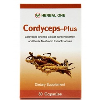 TT ใหม่ Cordyceps - plus 30 เม็ด ตังถั่งเฉ้า herbal one อ้วยอัน ตังถั่งเช่า บรรจุ 30 เม็ด