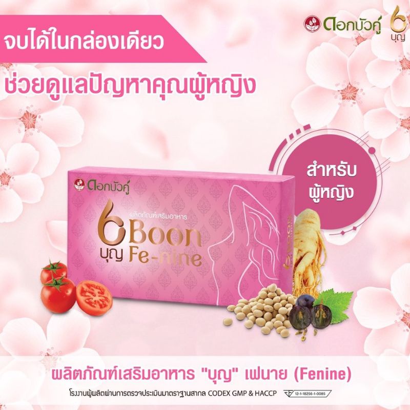 บุญ-เฟไนน์-boon-fenine