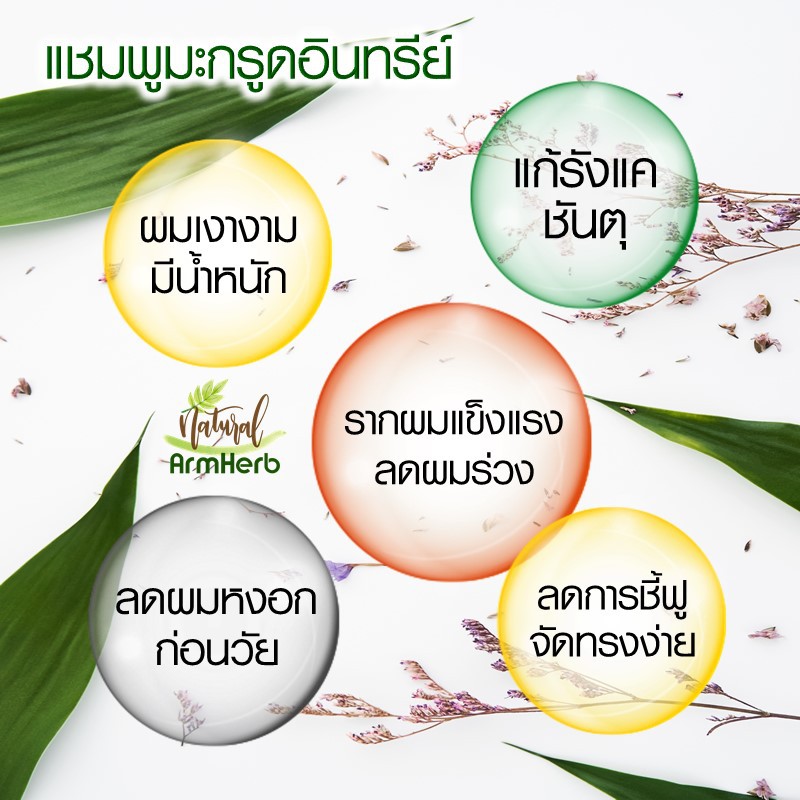 แชมพูมะกรูด-ธรรมชาติ-natural-bergamot-shampoo-แชมพูขจัดรังแค-ผมสลวย-ดกดำ-มีน้ำหนัก-ผมหงอกช้าลง