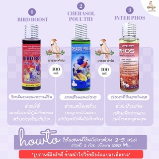 ภาพหน้าปกสินค้าวิตามินรวมสำหรับนก Bird Boots 100ml. สำหรับนกแก้ว ที่เกี่ยวข้อง