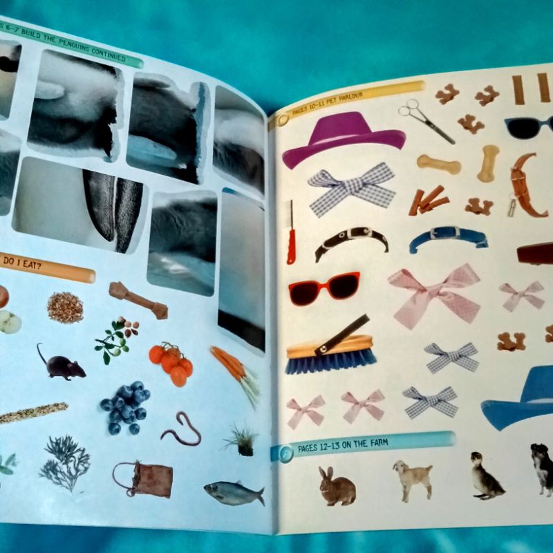 หนังสือใหม่ปกอ่อน-sticker-activity-amazing-animals