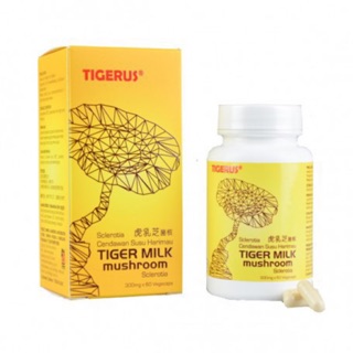 ภาพหน้าปกสินค้าTIGERUS TIGER MILK MUSHROOM SCLEROTIA 300mg x 60’s - SINUS, ASTHMA RELIEF 虎乳芝 หมดอายุ 2024 ที่เกี่ยวข้อง