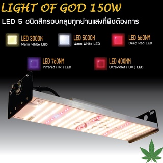GOD-150W LED Grow Light ไฟปลูกต้นไม้ ต้นไม้โตเร็วทันใช้ ไฟปลูกพืช ไฟไม้ใบ ไฟปลูกมอนเตอร่า ไฟสีเหลืองทอง 3250K LED 660nm