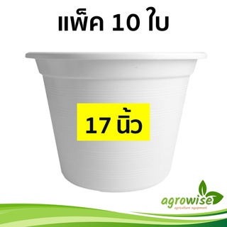 กระถางต้นไม้สวยๆ
 กะถางต้นไม้
 กระถางต้นไม้พลาสติก
 กระถางขาว สีขาว 17 นิ้ว 10 ใบ