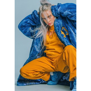 โปสเตอร์ Billie Eilish บิลลี ไอลิช โปสเตอร์ รูปภาพ ภาพถ่าย ตกแต่งผนัง Poster Music โปสเตอร์วินเทจ โปสเตอร์วงดนตรี