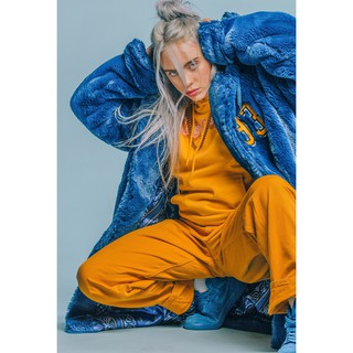 โปสเตอร์ Billie Eilish บิลลี ไอลิช โปสเตอร์ รูปภาพ ภาพถ่าย ตกแต่งผนัง Poster Music โปสเตอร์วินเทจ โปสเตอร์วงดนตรี