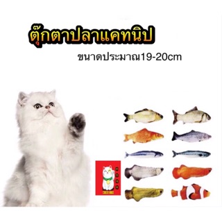 ภาพหน้าปกสินค้าตุ๊กตาแคทนิป ปลาแคทนิป ตุ๊กตาปลา ของเล่นสำหรับแมว ที่เกี่ยวข้อง
