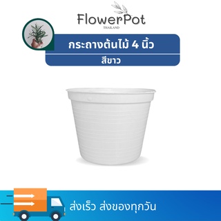 (จำนวน 1ใบ) กระถางแคคตัส สีขาว ขนาด 4 นิ้ว  กระถางพลาสติก กระถางมินิมอล