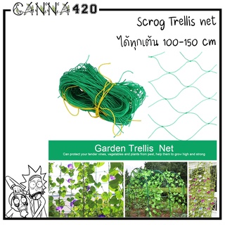 scrog net ตาข่ายปลูกผัก ตาข่ายไม้เลื้อย ตาข่ายไนลอน ตาข่ายทำค้างผักเลื้อย เน็ตตาข่าย ตาข่ายไนล่อน Nylon LST