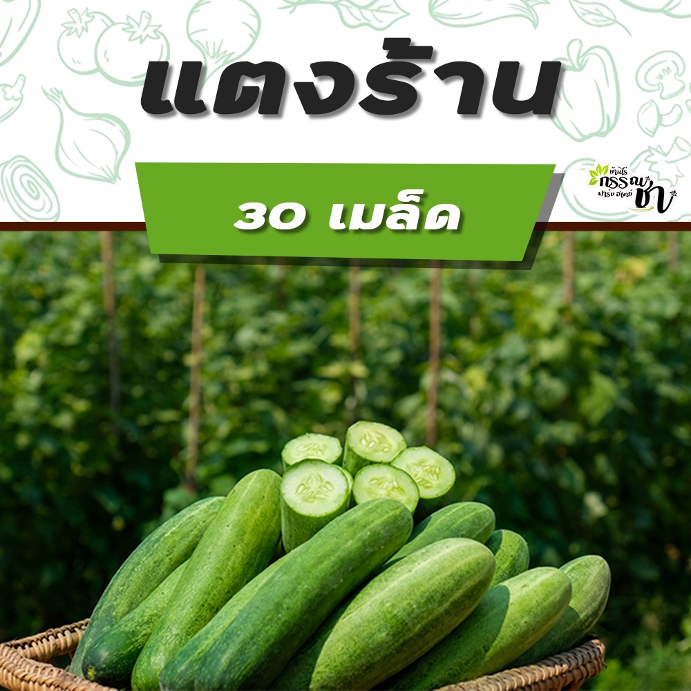 แตงกวา-เมล็ดพันธุ์-หลายหลายสายพันธุ์