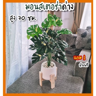 ต้นมอนสเตร่าด่าง สูง70-75cm  / ต้นไม้ปลอม พร้อมกระถาง+แถมหิน