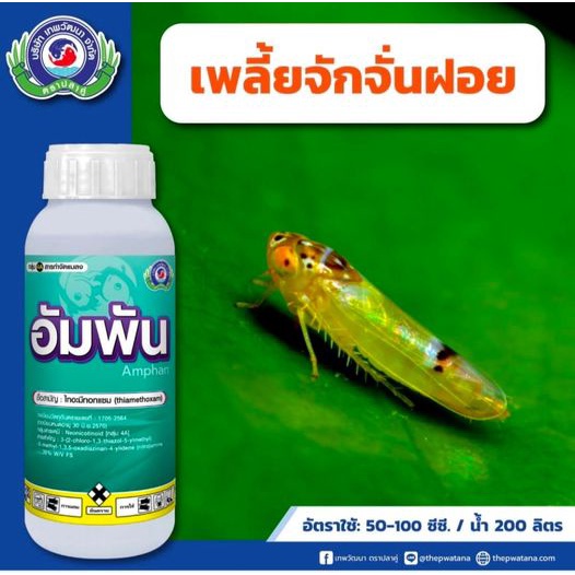 อัมพัน-ขนาด-500-ซีซี