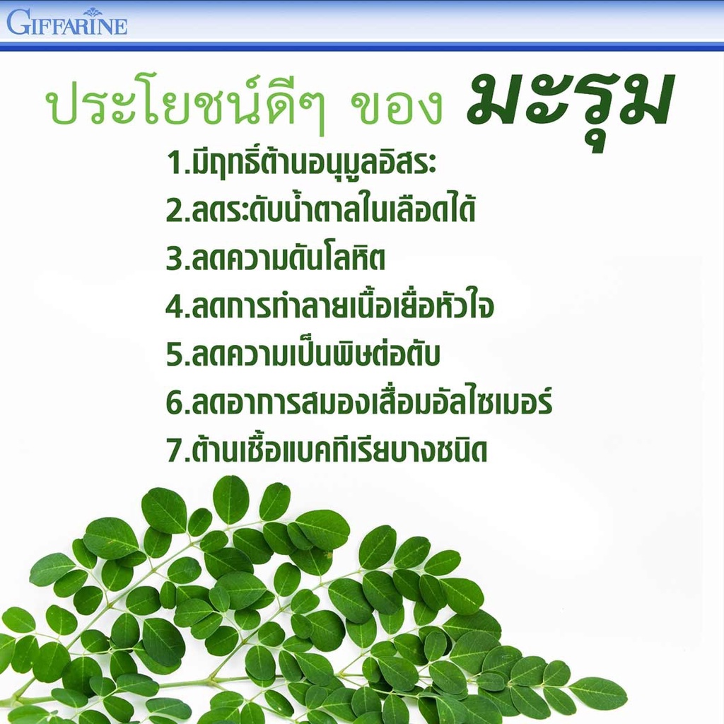 มะรุม-กิฟฟารีน-มะรุม-ซี-marum-c-giffarine-ใบมะรุมผสมวิตามินซี-อาหารเสริม-สมุนไพร-สำหรับเบาหวาน