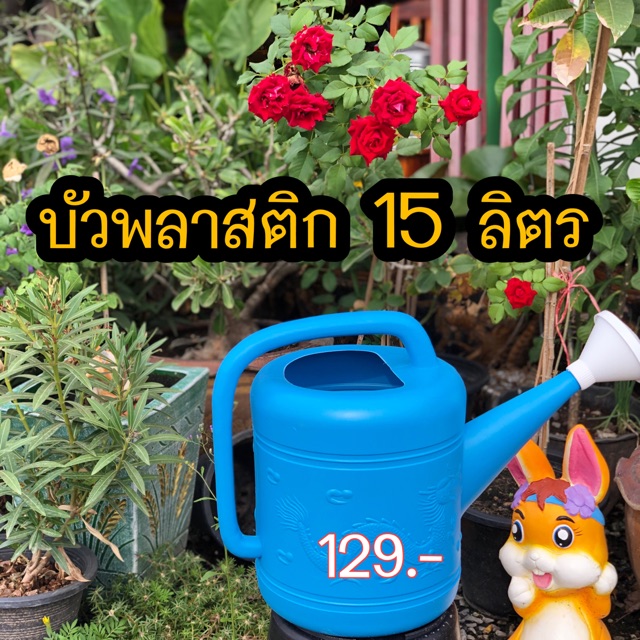 บัวพลาสติก-15-ลิตร-โรงงานเเจ้งว่า15-ลิตร-นะคะ-เราไม่ได้ผลิตเอง