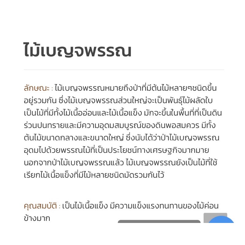 หน้าต่าง-50-100-ไม้เบญจพรรณ-เกรดa-ส่งเร็วมาก