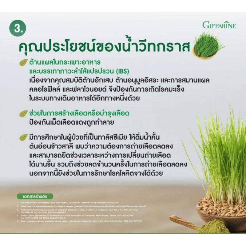 กิฟฟารีน-วีทกราส-wheat-grass-giffarine-ต้นอ่อนข้าวสาลี