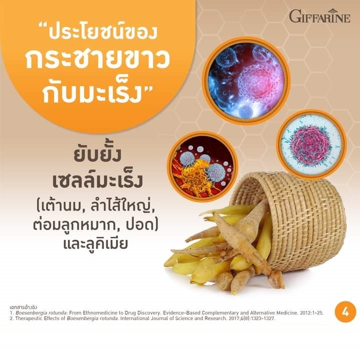 กระชายขาวสกัด-ชนิดแคปซูล-กิฟฟารีน-กระชาย-พลัส-giffarine-krachai-plus-รับประทานง่าย-และเข้มข้นมากกว่าการทานแบบสด