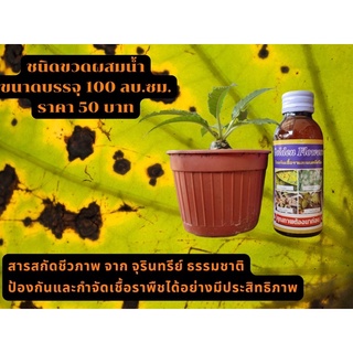 สารสกัดอินทรีย์กำจัดเชื้อรา