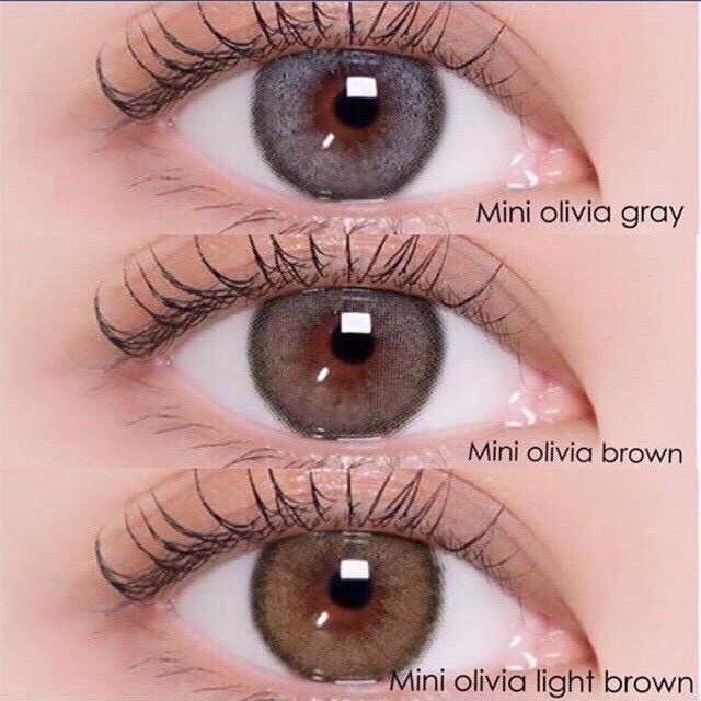 mini-olivia-brown-x-มินิ-สีน้ำตาล-น้ำตาล-โทนธรรมชาติ-ละมุน-kitty-kawaii-ค่าอมน้ำสูง-ช่วยถนอมดวงตา-contact-lens