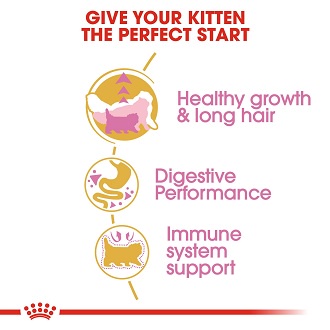 royal-canin-kitten-persian-2-kg-อาหารลูกแมว-ช่วยบำรุงขน-สำหรับลูกแมวเปอร์เซียอายุ-4-12-เดือน-2-กิโลกรัม-ถุง