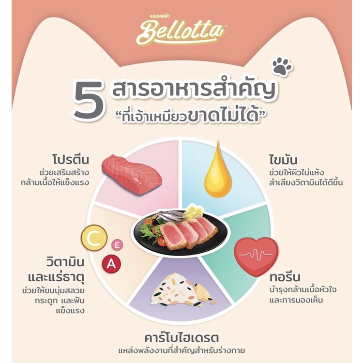 ภาพหน้าปกสินค้าBellotta Cat Cans  ️ เบลลอตต้า อาหารเปียกสำหรับแมว บรรจุกระป๋อง 85g จากร้าน maritang บน Shopee