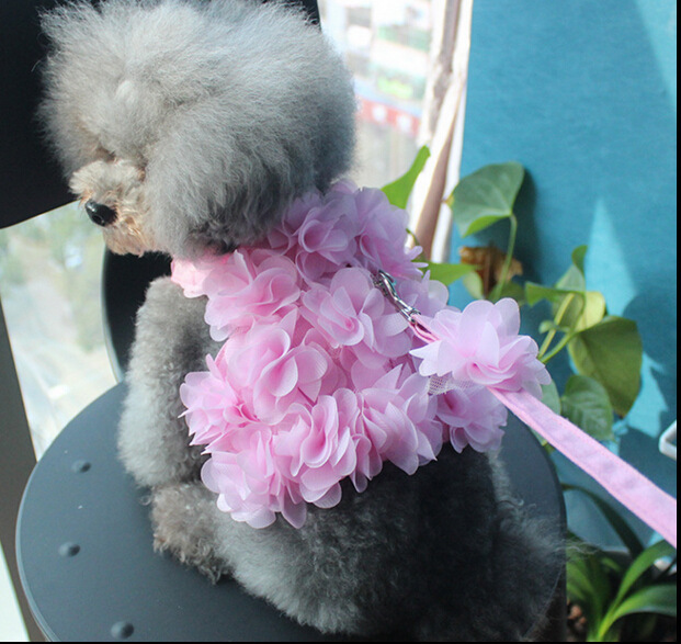 รูปภาพสินค้าแรกของสายจูงหมาแมวลายดอกไม้สามมิติน่ารัก/ เชือกระบายอากาศเมื่อสุนัขออกไปข้างนอก