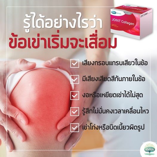 mega-we-care-flexigen-hydrolysate-collagen-15-ซอง-สำหรับผู้มีปัญหาข้อเสื่อม