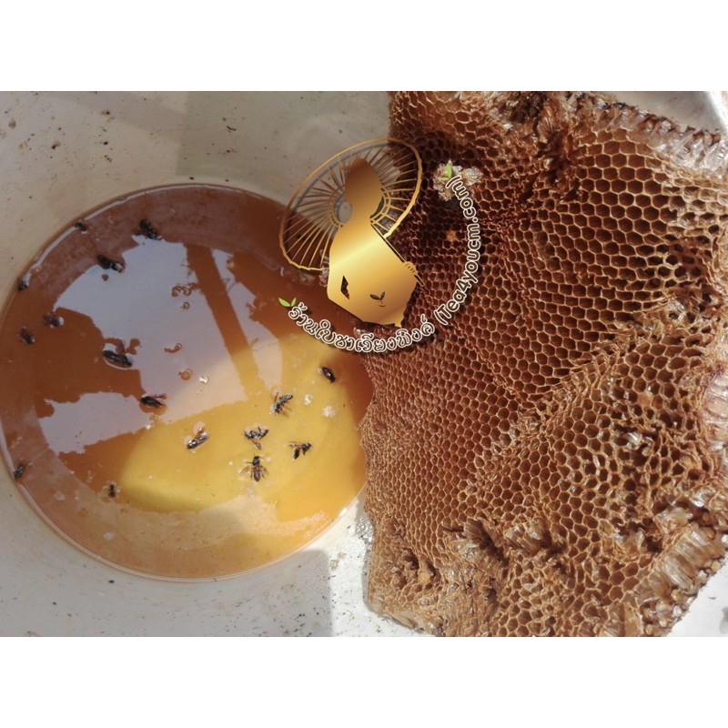 น้ำผึ้งสกัด-สเปรย์ดรายไร้น้ำตาลไร้สารกันบูด