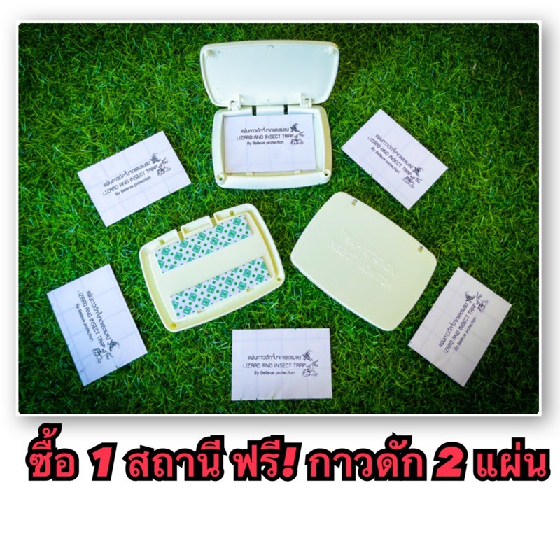 ราคาถูกสุด-กับดักจิ้งจก-กล่องดักจิ้งจก-สถานีดักจิ้งจก-กาวดักจิ้งจก-1-สถานี-ฟรี-แผ่นกาว-2-แผ่น-ชุด