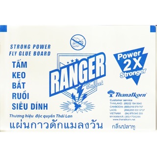 ภาพหน้าปกสินค้าแผ่นกาวดักแมลงวัน 5 แผ่น 20 บาท ที่เกี่ยวข้อง