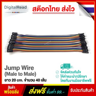 Jump Wire สายจั๊ม ผู้-ผู้ (Male to Male) ยาว 20 cm. จำนวน 40 เส้น สต็อกไทยส่งไว