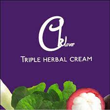 triple-herbal-cream-ครีม-ทริปเปิ้ล-เฮอร์เบิล-ครีมมังคุด-ครีมรักษาฝ้า-หน้าขาวใสขนาด10กรัม