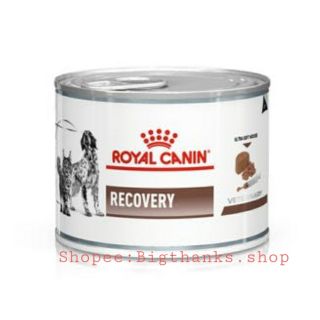 Royal canin Recovery Exp.02/2025  ((จำนวน 6 กระป๋อง)) อาหารสัตว์ป่วย พักฟื้น