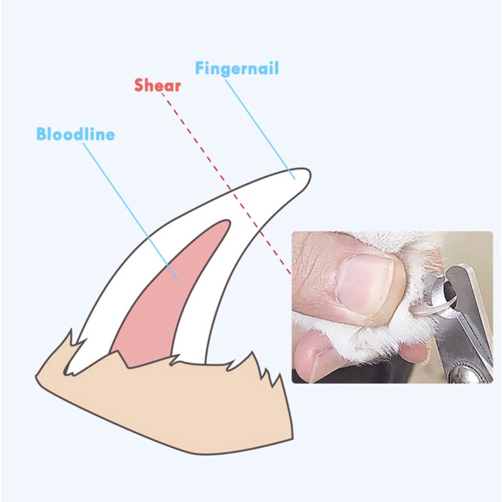 กรรไกรตัดเล็บสัตว์เลี้ยง-พร้อมที่ตะไบเล็บ-กรรไกรตัดเล็บหมา-กรรไกรตัดเล็บแมว-ที่ตะไบเล็บสัตว์เลี้ยง