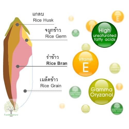 vistra-rice-bran-oil-amp-rice-germ-oil-plus-wheat-germ-oil-1000mg-40-แคปซูล-น้ำมันรำข้าวและจมูกข้าว