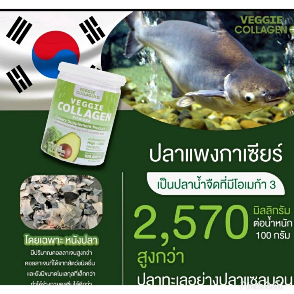 ส่งฟรี-แถม-ขวดชง-คอลลาเจนผัก-veggie-collagen-powder