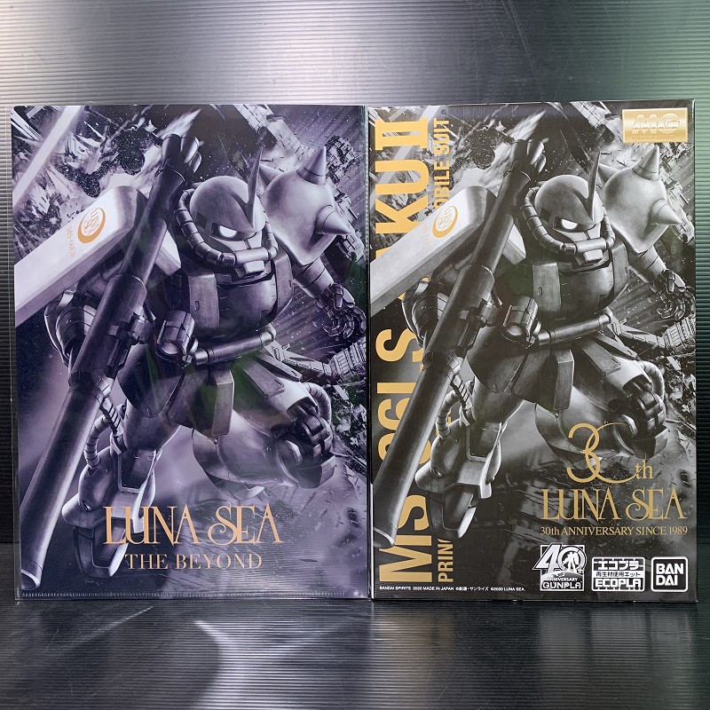 Luna Sea The Beyond Gunpla 40th Edition The Beyond x MG 1