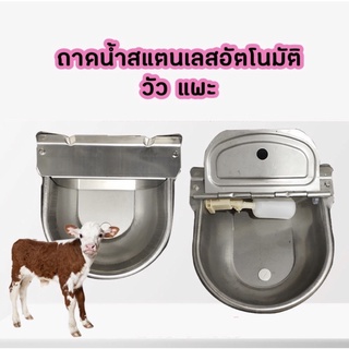ภาพหน้าปกสินค้าส่งด่วนจากไทย‼️ ถาดน้ำสแตนเลสอัตโนมัติ วัว แพะ มีรูระบายน้ำ ที่เกี่ยวข้อง