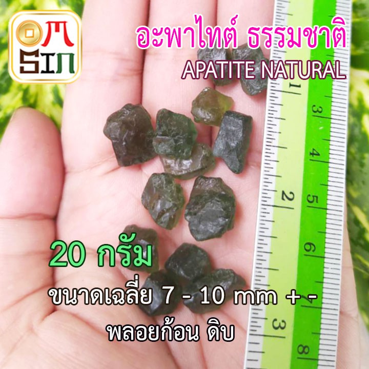 omsin-20-กรัม-เศษพลอย-อะพาไทต์-สีเขียวแก่-เฉลี่ย-7-10-มิล-พลอยดิบ-green-apatite-ดิบธรรมชาติแท้-100