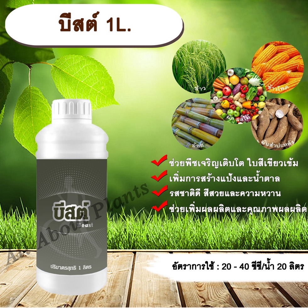 บีสต์1l-ธาตุอาหารรอง-ธาตุอาหารเสริม-เหล็ก-กำมะถัน-เร่งโตใบเขียวเข้มสร้างแป้ง-น้ำตาล-เร่งหวาน-พืชขาดธาตุเหล็กแก้ใบเหลือง