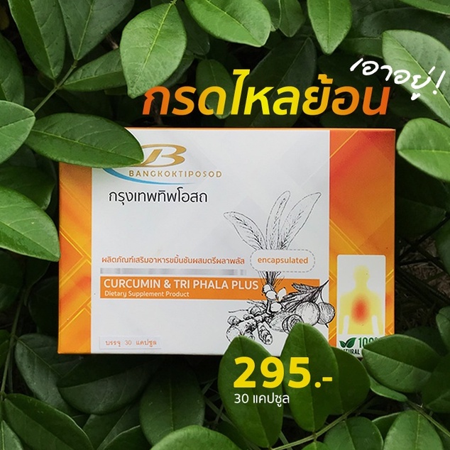 ภาพหน้าปกสินค้าขมิ้นชัน ผสมตรีผลาพลัส Curcumin & Tri Phala Plus จากร้าน healthyfill บน Shopee